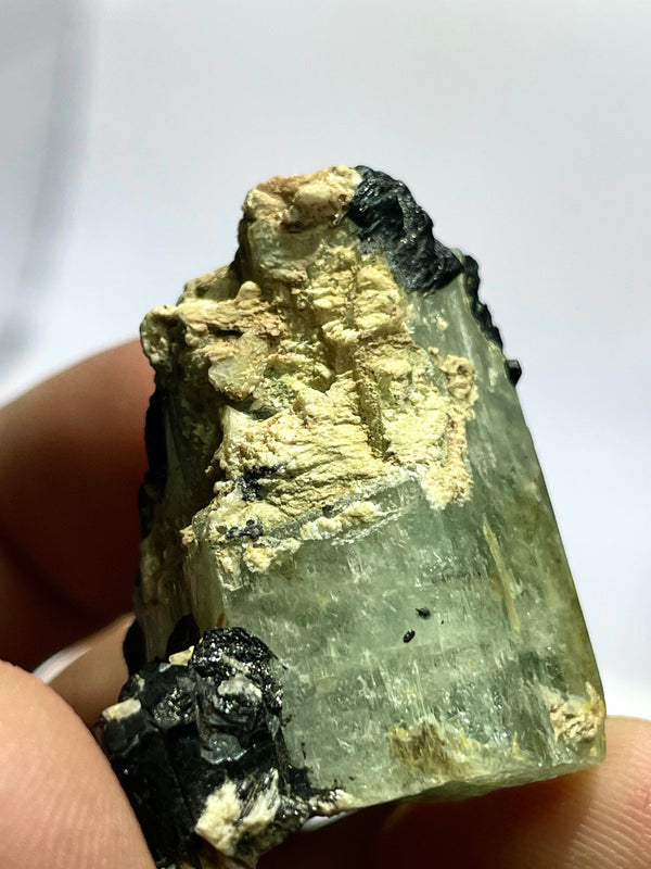 Feldspar included Aquamarine Specimen on Black Tourmaline, Erongo Mountain, Erongo Region, Namibia, Erongo Aquamarine Crystal, Crystal Healing