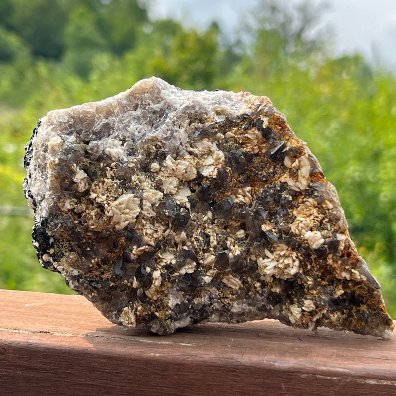 Self-Standing Black Tourmaline Crystal with Smoky Quartz, from Erongo Mountain, Erongo Region, Namibia