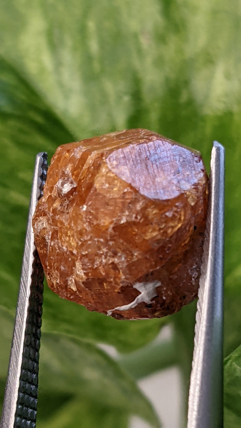 Spessartine Garnet, Mineral Specimen from Nani Hill, Loliondo, Ngorongoro District, Arusha Region, Tanzania