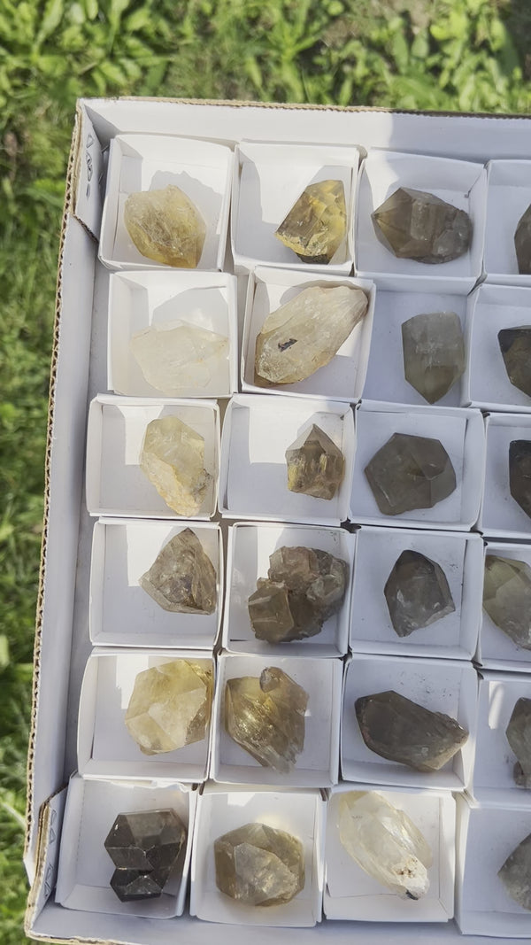 Wholesale Flat of Kundalini Quartz Crystals, 54 Pieces, Jewelry Making Size Range, Kundalini Quartz, Democratic Republic of Congo