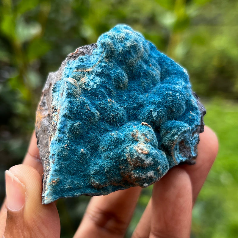 Fibrous Blue Shattuckite, Mesopotamia Copper Valley, Kunene, Namibia, African Mineral Specimen