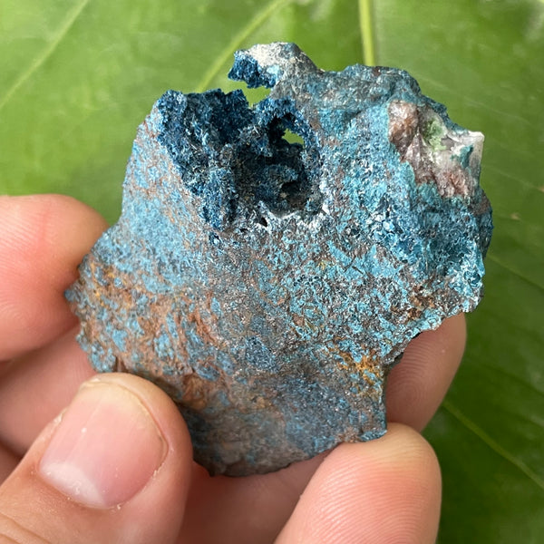 Fibrous Blue Shattuckite on Matrix, Mesopotamia Copper Valley, Kunene, Namibia, African Mineral Specimen