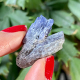 31.6 ct Blue Tanzanite Crystal from Lelatema Mountains, Merelani Hills, Tanzania