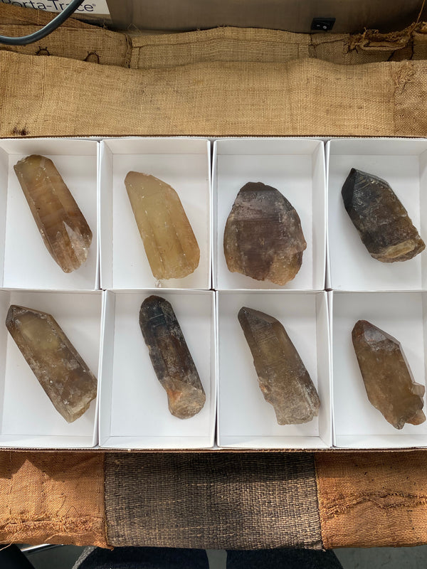 8 Pieces of Natural Zambian Citrine, Wholesale Flat