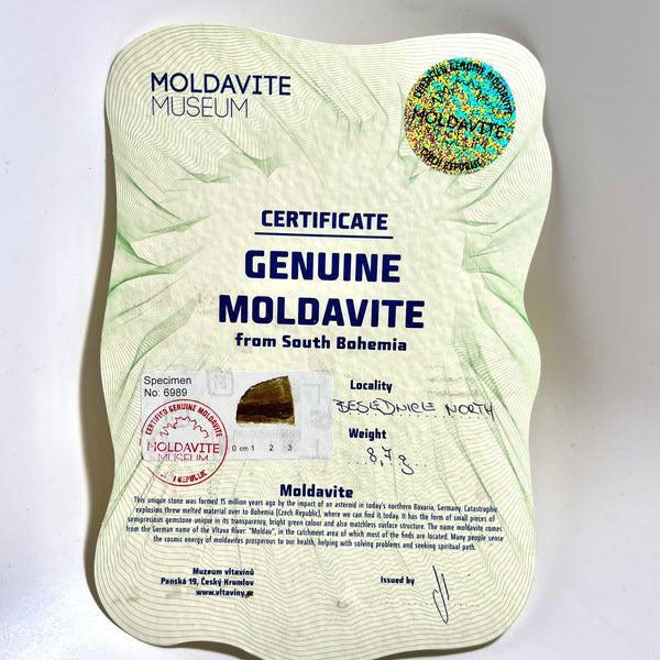 Moldavite with Certificate, Besednice, Český Krumlov District, South Bohemian Region, Czech Republic