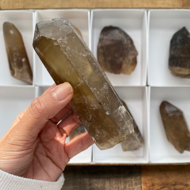 8 Pieces of Natural Zambian Citrine, Wholesale Flat