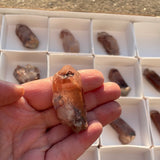 720g Lot of 24 Ishuko Red Phantom Quartz, Hematite included Quartz from the Central Province of Zambia