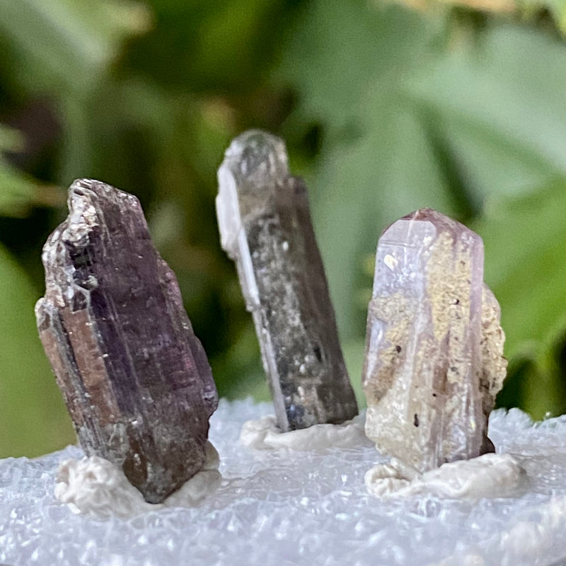 Pack if 3 natural Tanzanite Crystals from Lelatema Mountains, Merelani Hills, Tanzania