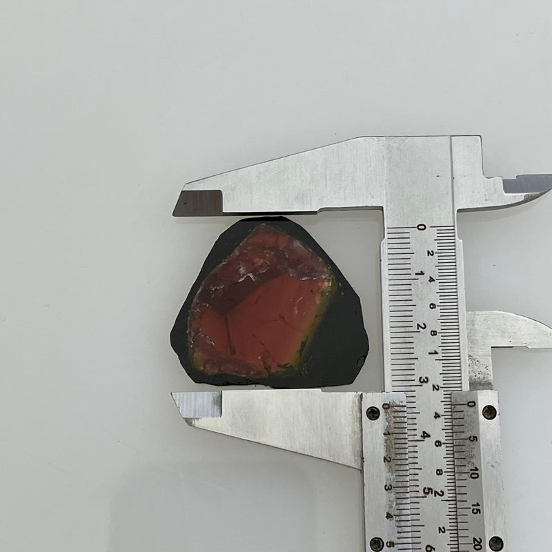 32.6ct Pink Liddicoatite Slice, Rare Tourmaline from Antsirabe, Madagascar