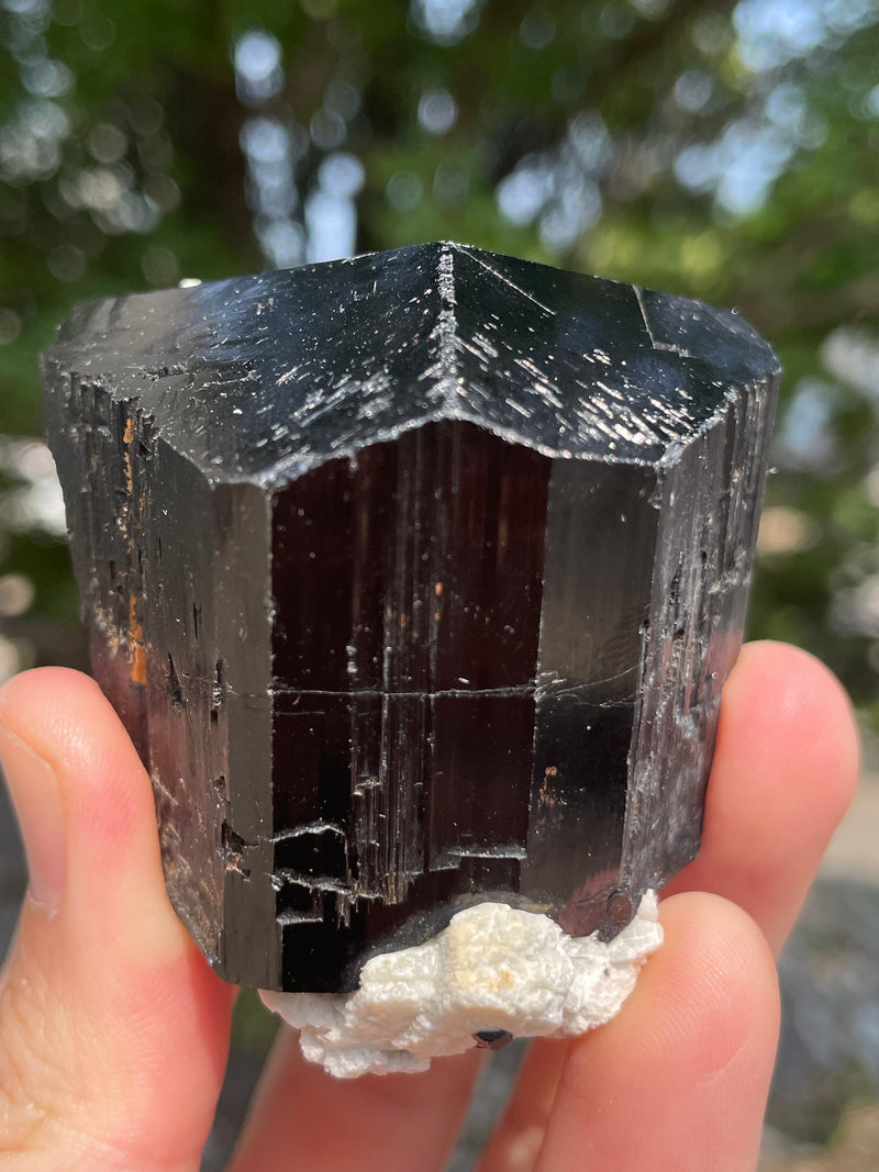 Black Tourmaline Flat 12 pieces from the Erongo Region Namibia