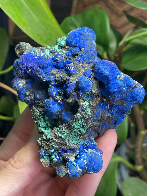 Azurite and Malachite from Bisbee, Warren District, Mule Mountains, Cochise County, Arizona, USA