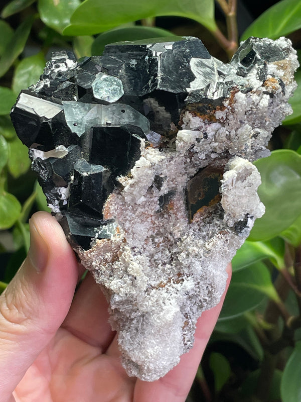 Black Tourmaline Specimen with Aquamarine and Hyalite Opal from Erongo Mountain, Erongo Region, Namibia