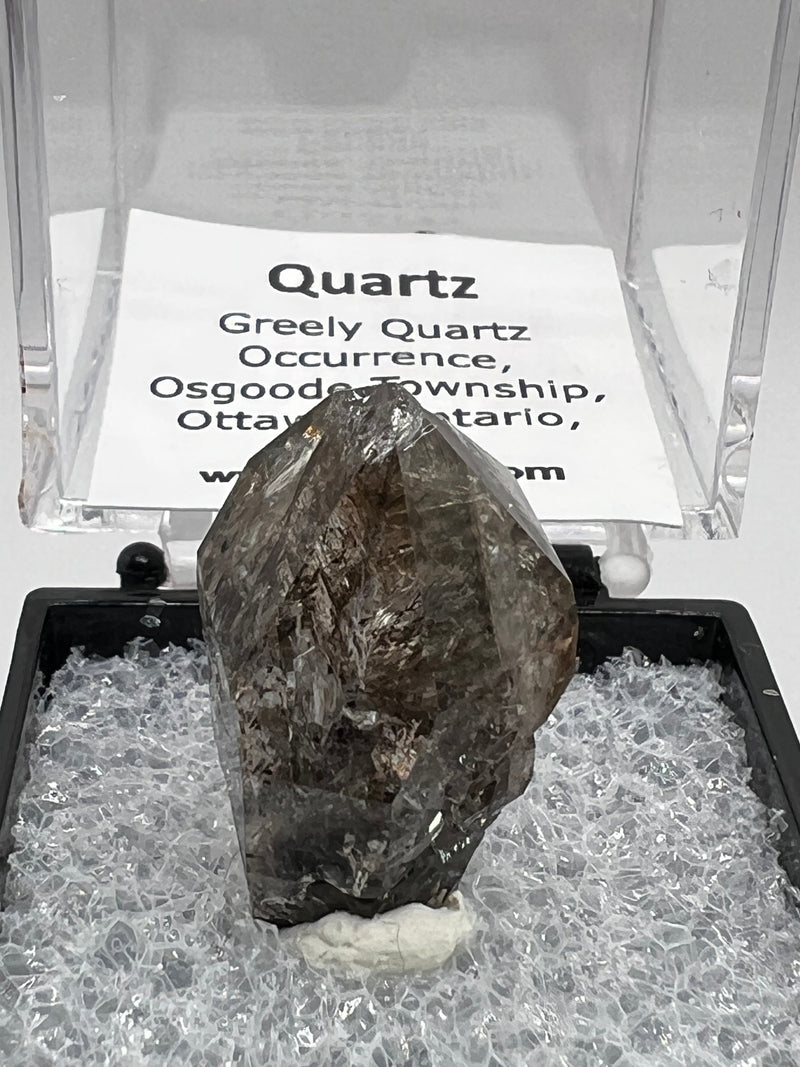 Greely Quartz from the Greely Quartz Occurrence, Osgoode Township, Ottawa, Ontario, Canada