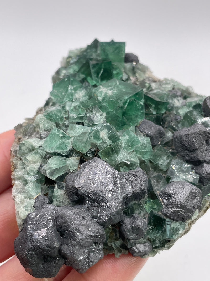 UK Fluorite with Galena from the Greedy Hog Pocket, Diana Maria Mine, England
