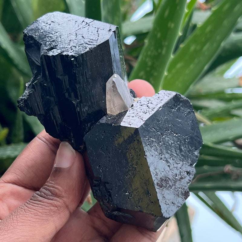 Black Tourmaline Crystal from Erongo Mountain, Erongo Region, Namibia