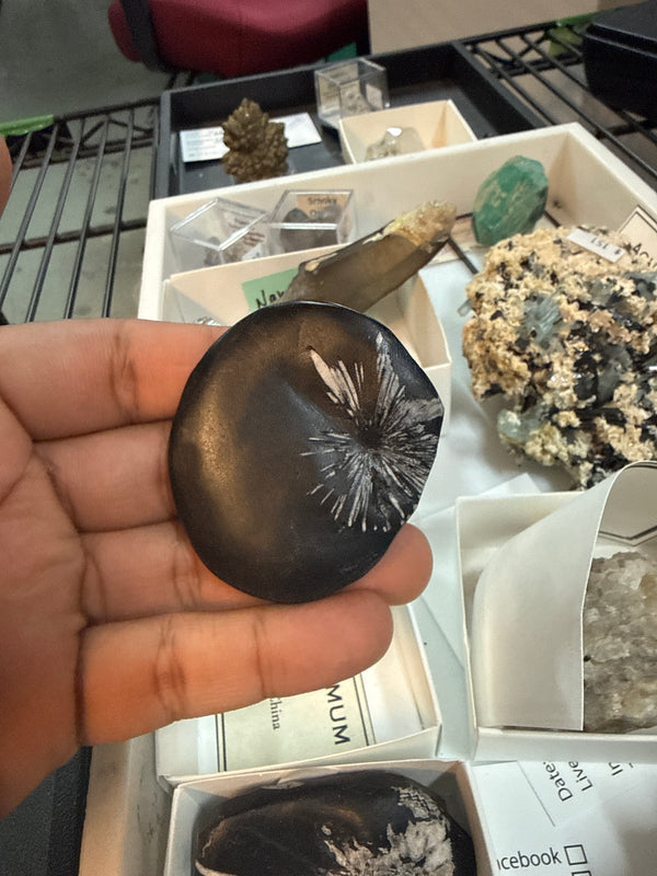 @sedonacrystal