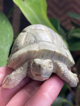 Shona Sculpture, Butter Jade Turtle from Zimbabwe