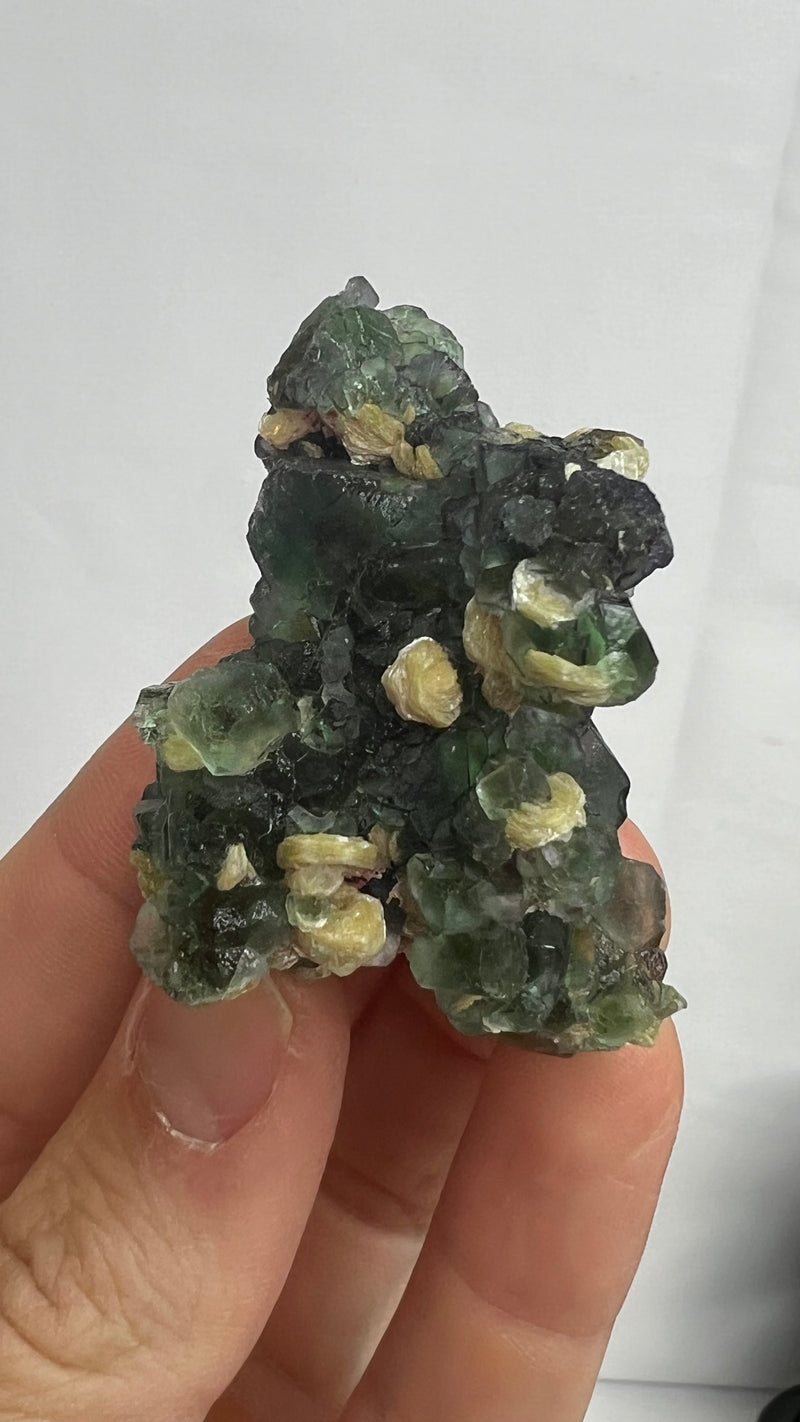 Fluorite and Muscovite Wholesale Flat from the the Erongo Mountain, Erongo Region, Namibia