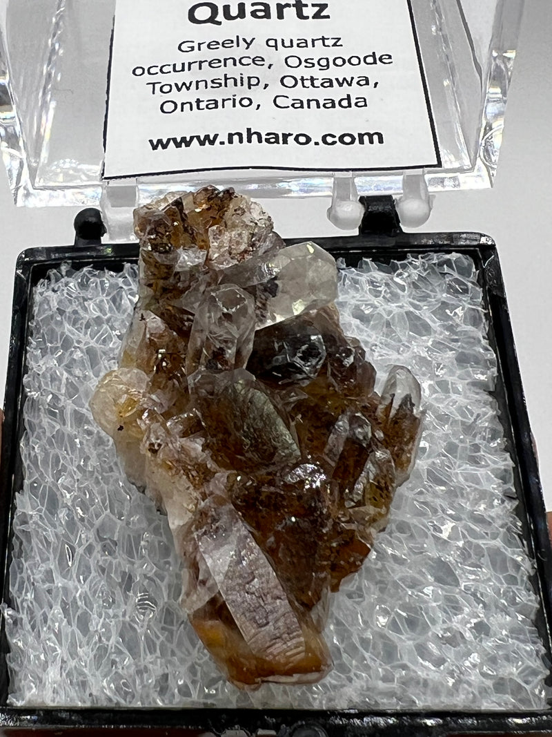 Greely Quartz from the Greely Quartz Occurrence, Osgoode Township, Ottawa, Ontario, Canada