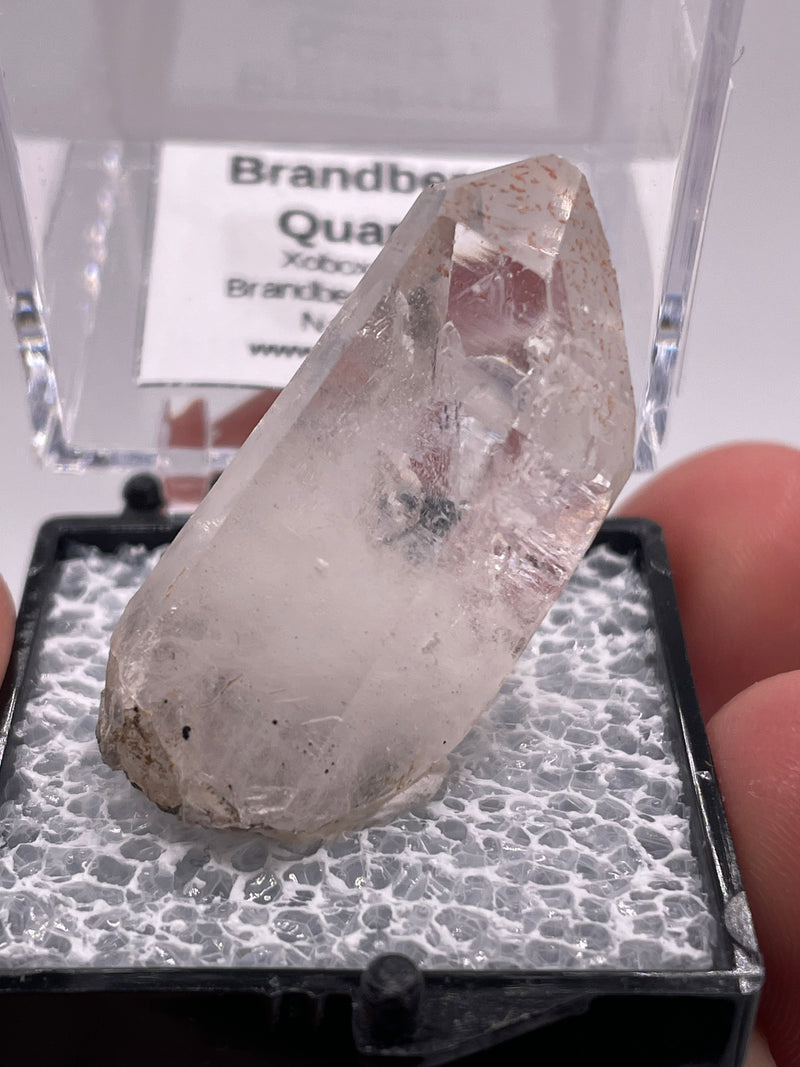 @mohlsen - Cretaceous Artifacts