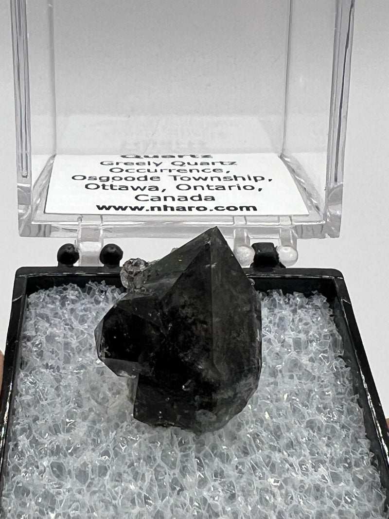 Greely Quartz from the Greely Quartz Occurrence, Osgoode Township, Ottawa, Ontario, Canada