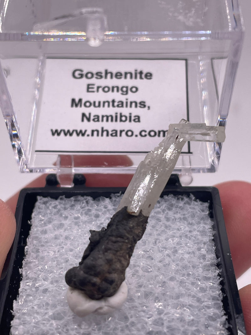 @myhauntedleftshoe