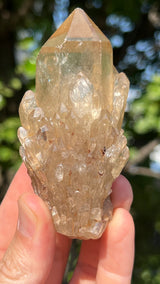 Kundalini Citrine Wholesale Flat 12 pieces from Democratic Republic of Congo