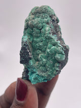 20 Piece Flat of Vibrant Chrysocolla with Malachite & Brochantite, from Usakos, Erongo Region, Namibia