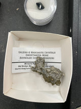 Sarahjo79 - CA