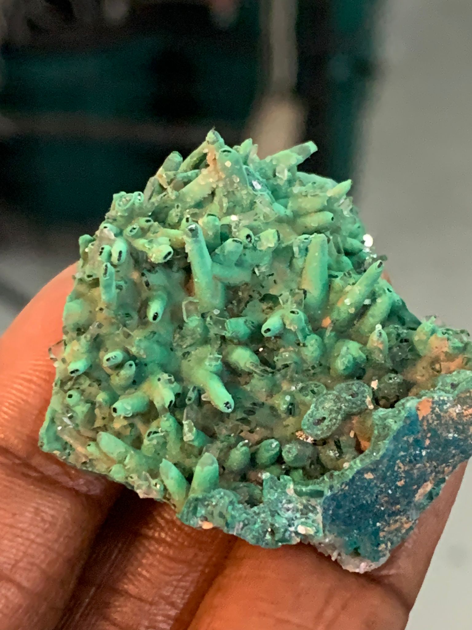 @christypocus Pocus April 25 – Nharo!