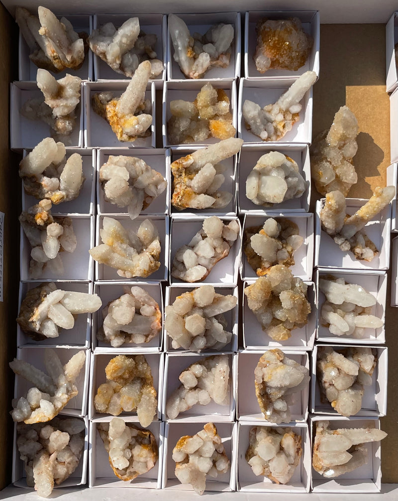 1 piece of Witch’s Finger Quartz from Boukenhoethoek, South Africa