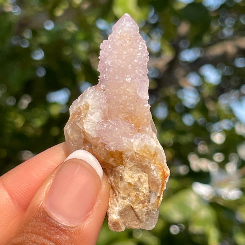 Amethyst Spirit Quartz - Cactus Witches Fingers - Wholesale flat (35 pieces) - South Africa