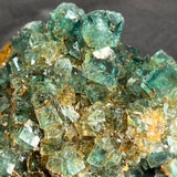 Top Shelf Fluorite, Okorusu Mine, Otjiwarongo Region, Karibib District, NAMIBIA