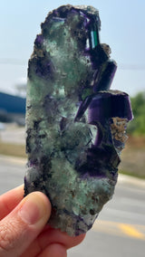 Purple and Green Okorusu Fluorite Slice from the Okorusu Mine, Namibia, Africa.