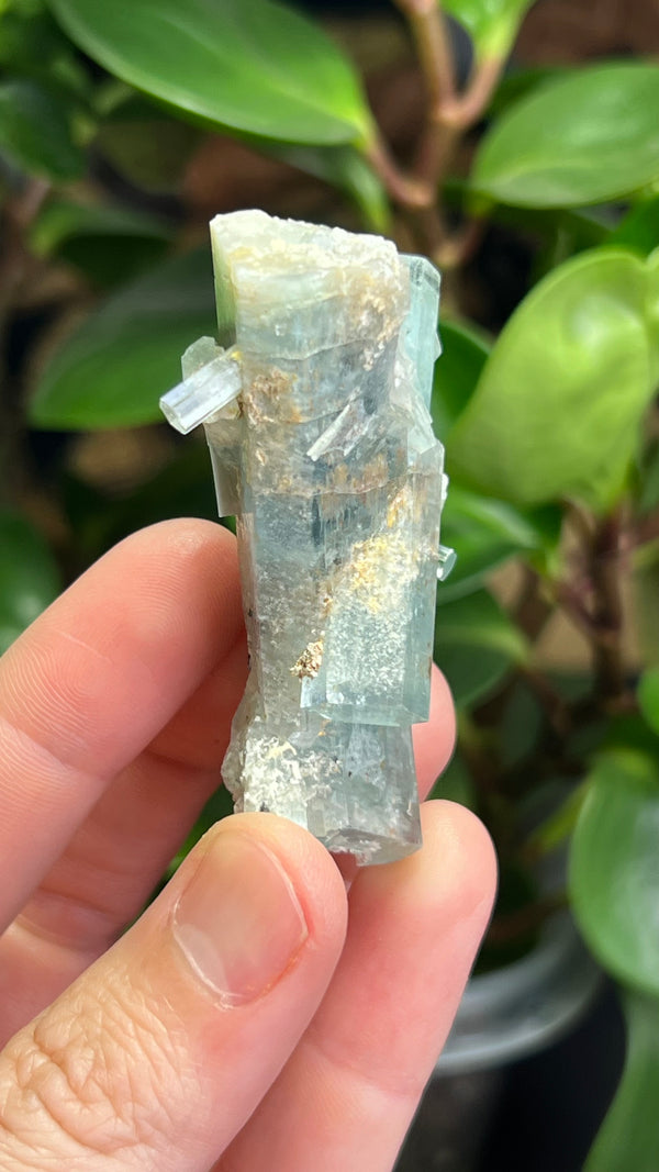 Aquamarine Specimen from Erongo Mountain, Erongo Region, Namibia