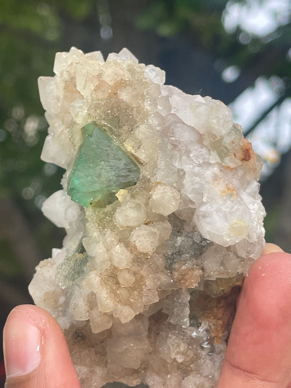 Orange River Fluorite from Riemvasmaak South Africa