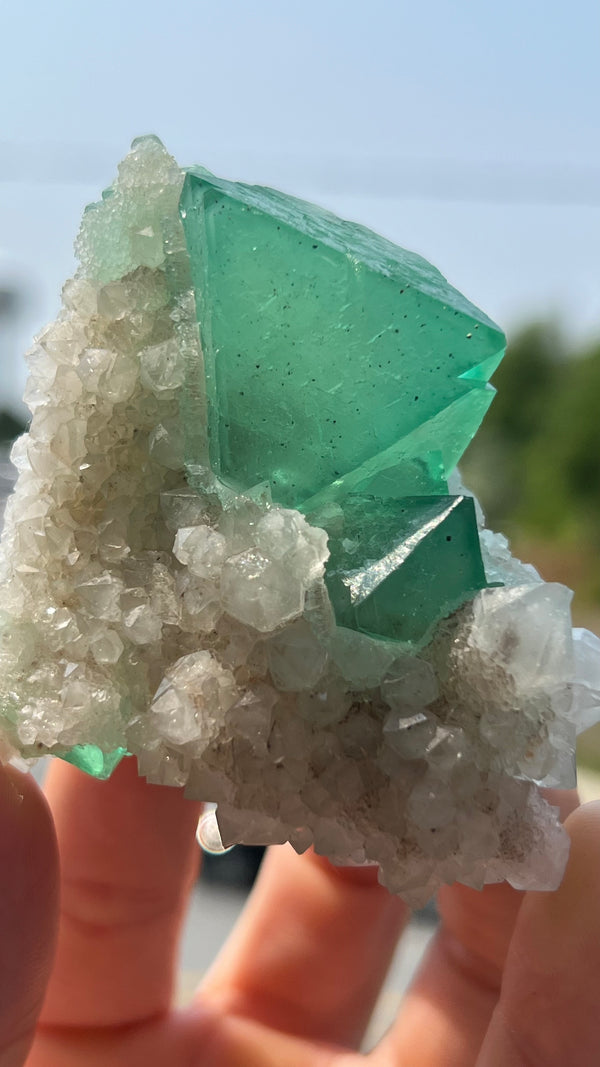 Fluorite with Quartz from the Orange River Area, Riemvasmaak South Africa