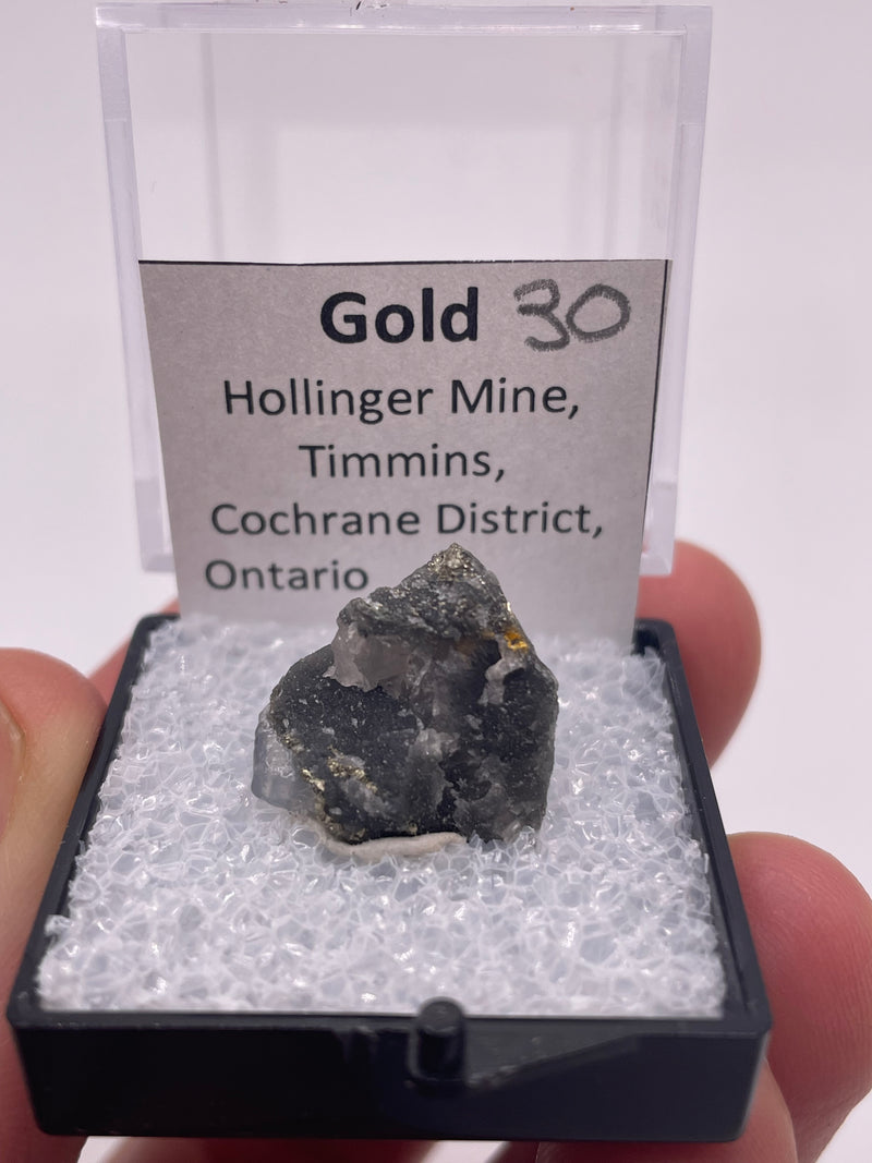 @mohlsen - Cretaceous Artifacts