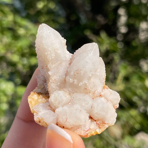 1 piece of Witch’s Finger Quartz from Boukenhoethoek, South Africa