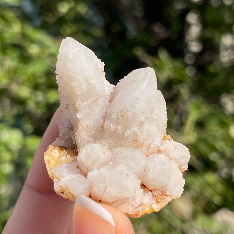 1 piece of Witch’s Finger Quartz from Boukenhoethoek, South Africa