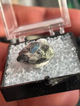 Elizalaganas