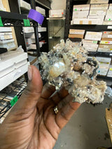 Cretaceous Artifacts July 6