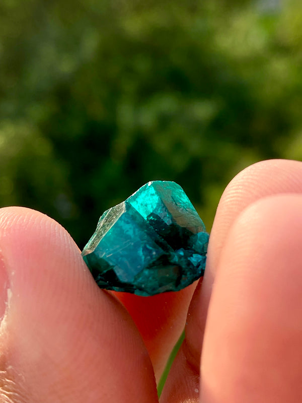 Dioptase 4g from Kaokoveld, Kunene, Namibia
