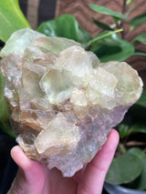 Fluorite from Rogers Mine, Huntingdon Township, Hastings County, Ontario, Canada