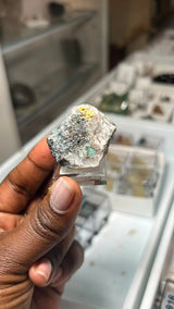 cretaceous artifacts July 8