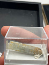 @cretaceousartifacts (mohlsen81)