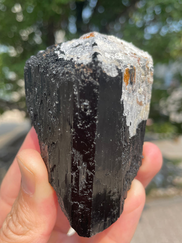 Black Tourmaline Flat 12 pieces from the Erongo Region Namibia