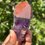 Thunder Bay Red Capped Amethyst from the Show Me The Loot Mine, Dzuba Claim, Superior Shores, Thunder Bay, Ontario