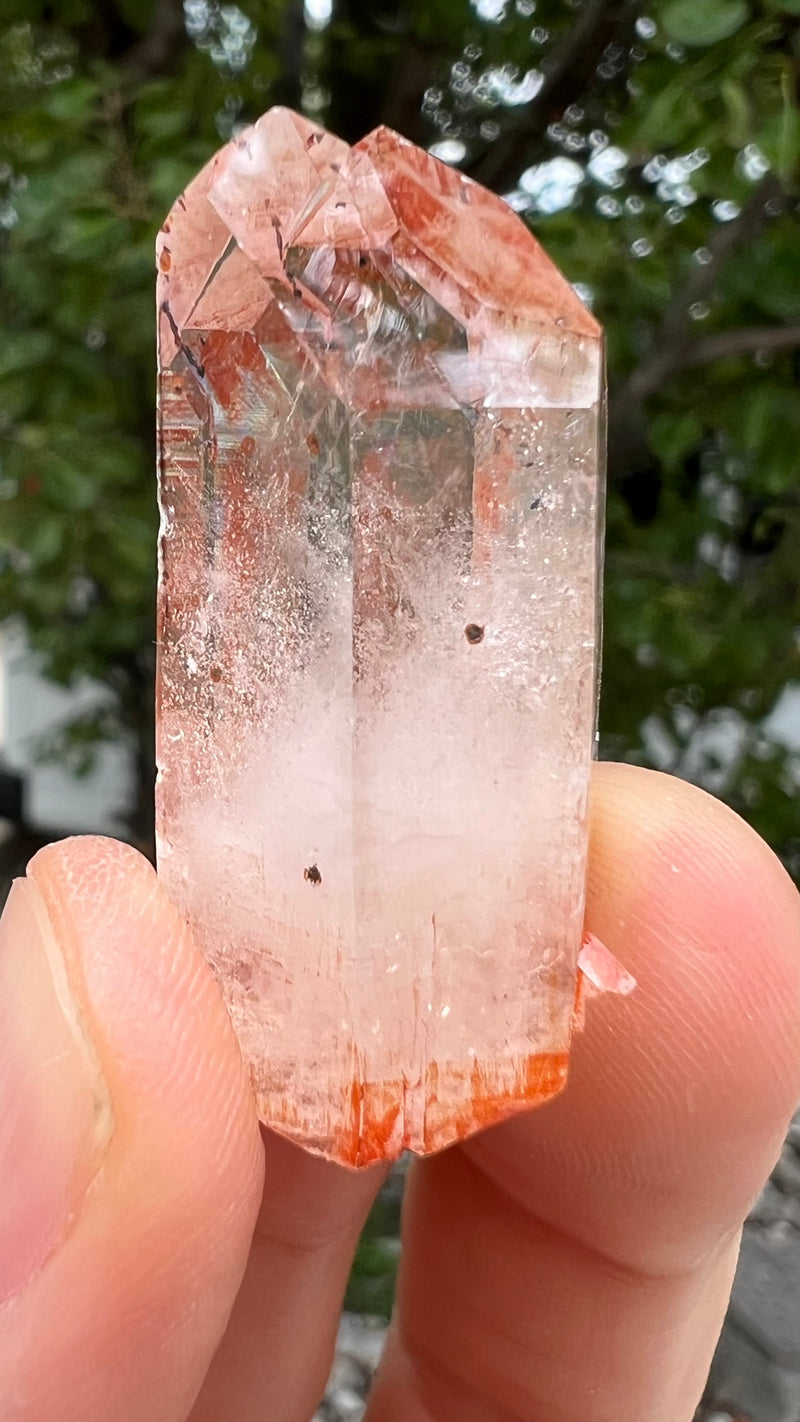 Brandberg Quartz Wholesale Flat from the Streep Mine, Goboboseb, Erongo Region, Namibia