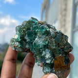 Top Shelf Fluorite, Okorusu Mine, Otjiwarongo Region, Karibib District, NAMIBIA